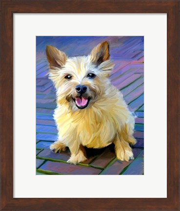 Framed Cairn Terrier Print