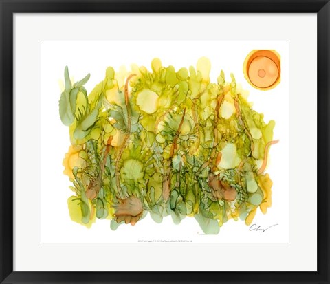 Framed Sunlit Poppies IV Print