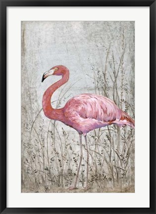 Framed American Flamingo II Print