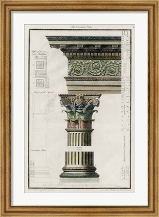 Framed Corinthian Order Print