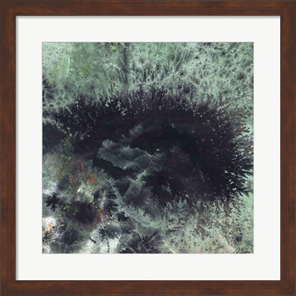 Framed Coral &amp; Jelly Fish I Print