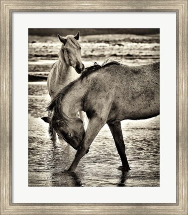 Framed Beach Horses I Print