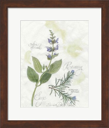 Framed Rosemary &amp; Sage Print