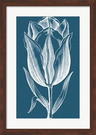 Framed Chromatic Tulips I Print