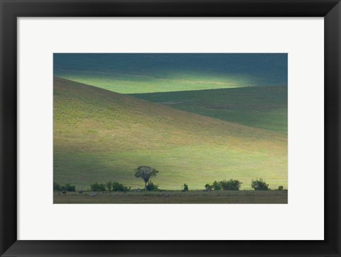 Framed Panoramic view of hill, Ngorongoro Crater, Arusha Region, Tanzania Print