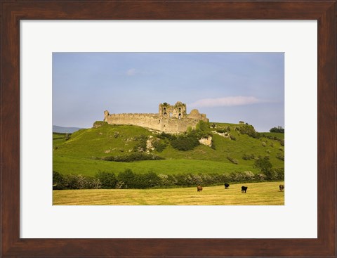 Framed Ruined walls of Roche Castle, County Louth, Ireland Print