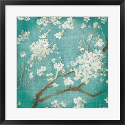 Framed White Cherry Blossoms I on Blue Aged No Bird Print