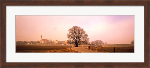 Framed Tree &amp; road Lansberg vicinity Germany Print