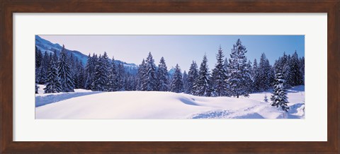 Framed Snowy Field &amp; Trees Oberjoch Germany Print