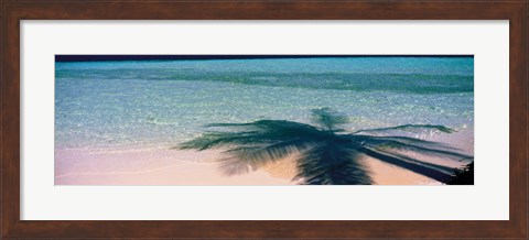 Framed Palm Tree Shadow Over the Maldives Print