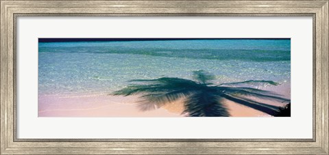 Framed Palm Tree Shadow Over the Maldives Print