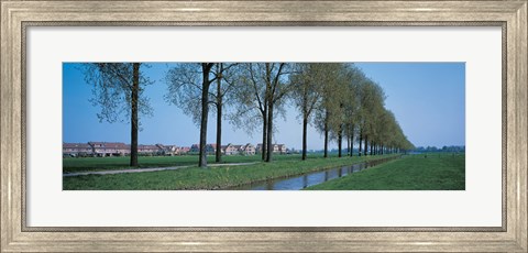 Framed Aalsmeer Holland Netherlands Print
