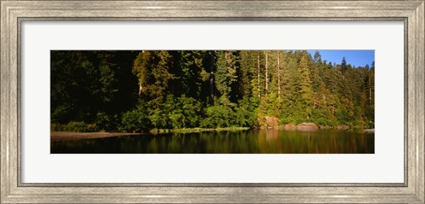 Framed Reflection of trees in a river, Smith River, Jedediah Smith Redwoods State Park, California, USA Print