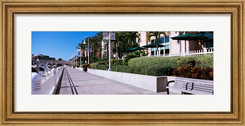 Framed Buildings along a walkway, Garrison Channel, Tampa, Florida, USA Print