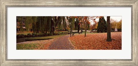Framed Park at banks of the Avon River, Christchurch, South Island, New Zealand Print