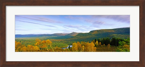 Framed Autumn trees at Loch an Eilein, Rothiemurchus Forest, Aviemore, Cairngorms National Park, Highlands Region, Scotland Print