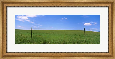 Framed Barbed Wire fence in a field, San Rafael Valley, Arizona, USA Print
