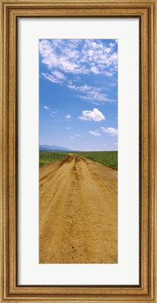 Framed Dirt road passing through San Rafael Valley, Arizona Print