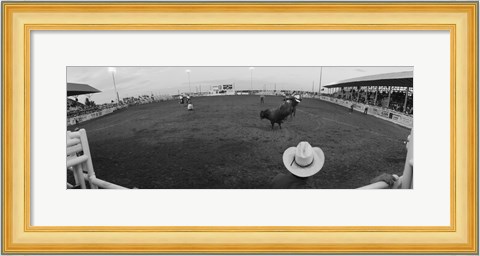Framed Cowboy riding bull at rodeo arena, Pecos, Texas, USA Print