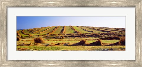 Framed Harvested wheat field, Palouse County, Washington State, USA Print