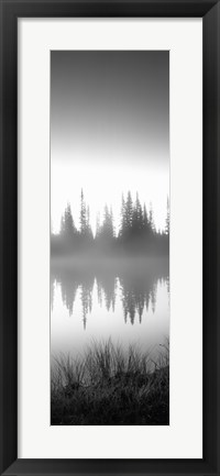 Framed Reflection of trees in a lake in black and white, Mt Rainier National Park, Washington State Print
