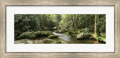 Framed Roaring Fork River, Great Smoky Mountains, Tennessee Print