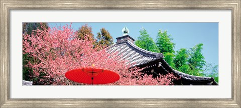 Framed Daikaku-Ji Kyoto Japan Print