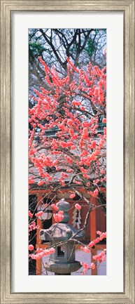 Framed Kitano-Tenmangu Kyoto Japan Print