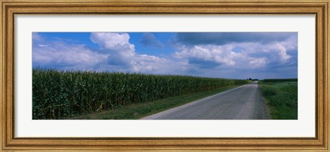 Framed Road along corn fields, Christian County, Illinois, USA Print
