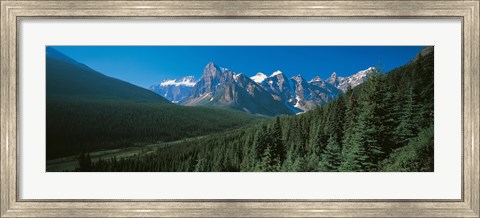 Framed Forest with Mountains in the Background, Banff National Park Canada Print
