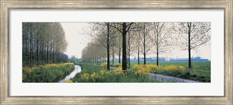 Framed Dordrecht Holland Netherlands Print