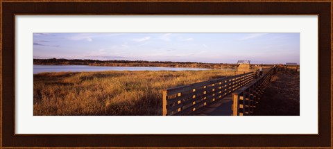 Framed Boardwalk in a state park, Myakka River State Park, Sarasota, Sarasota County, Florida, USA Print