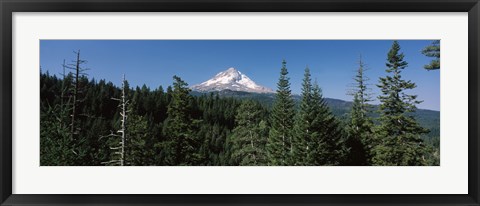Framed Trees in a forest with mountain in the background, Mt Hood National Forest, Hood River County, Oregon, USA Print