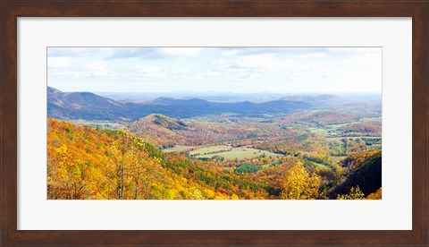 Framed Trees on a hill, North Carolina, USA Print