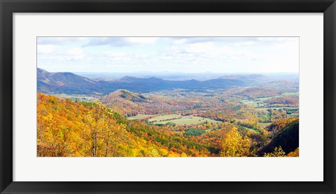 Framed Trees on a hill, North Carolina, USA Print