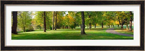Framed Trees in autumn, Blue Lake Park, Portland, Multnomah County, Oregon, USA Print