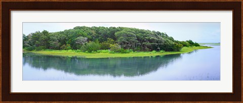 Framed Trees at Rachel Carson Coastal Nature Preserve, Beaufort, North Carolina, USA Print