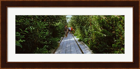 Framed People walking on walkway in an elevated park, High Line, New York City, New York State, USA Print