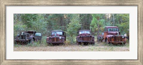 Framed Old rusty cars and trucks on Route 319, Crawfordville, Wakulla County, Florida, USA Print