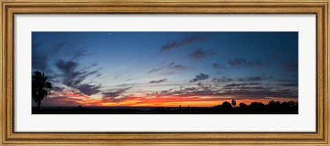Framed Silhouette of trees at sunset, Todos Santos, Baja California, Mexico Print