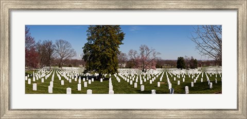 Framed Headstones in a cemetery, Arlington National Cemetery, Arlington, Virginia, USA Print