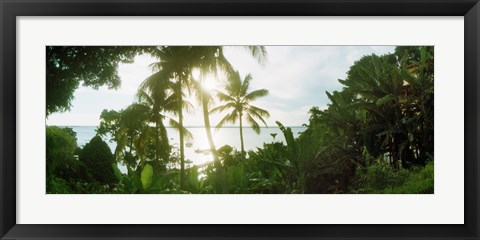 Framed Palm trees in the forest at coast, Morro De Sao Paulo, Tinhare, Cairu, Bahia, Brazil Print