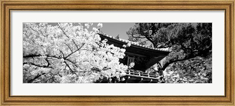 Framed Golden Gate Park, Japanese Tea Garden (black &amp; white) Print