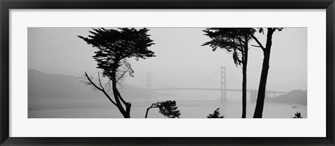 Framed Golden Gate Bridge Through the Fog (black &amp; white) Print