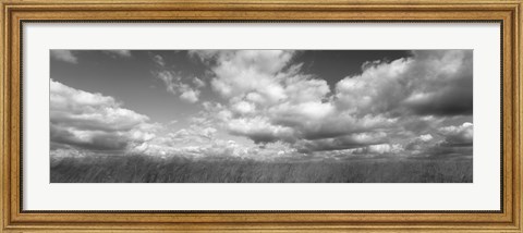 Framed Hayden Prairie, Iowa (black and white) Print