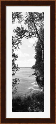Framed Trees at the lakeside in black and white, Lake Michigan, Wisconsin Print