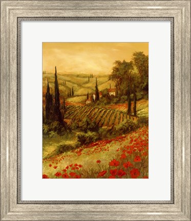 Framed Toscano Valley II Print