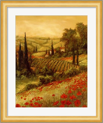 Framed Toscano Valley II Print
