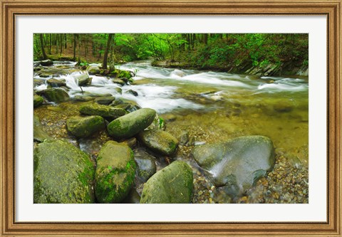 Framed Stream following through a forest, Little River, Great Smoky Mountains National Park, Tennessee, USA Print