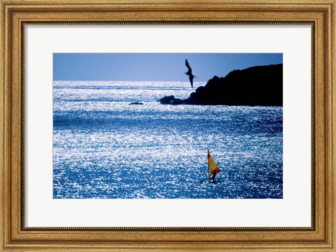 Framed Windsurfer in the sea, Sint Maarten, Netherlands Antilles Print